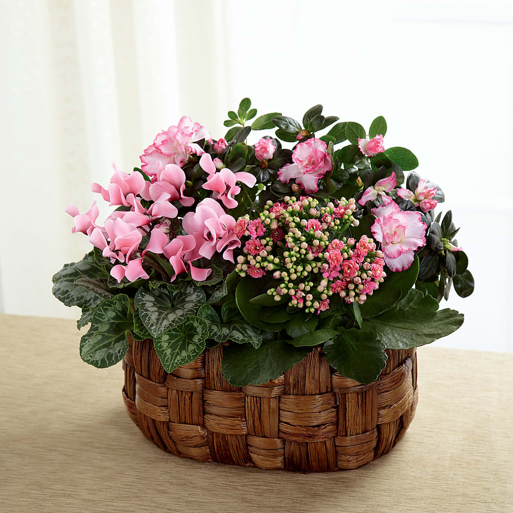 Pink Assortment – CHARLY'S FLOWERS, San Jose CA