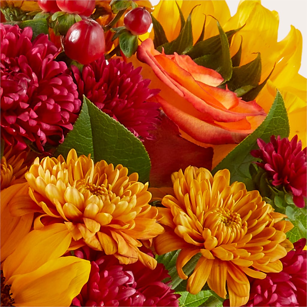 Sweater Season - A Florist Original – CHARLY'S FLOWERS, San Jose CA