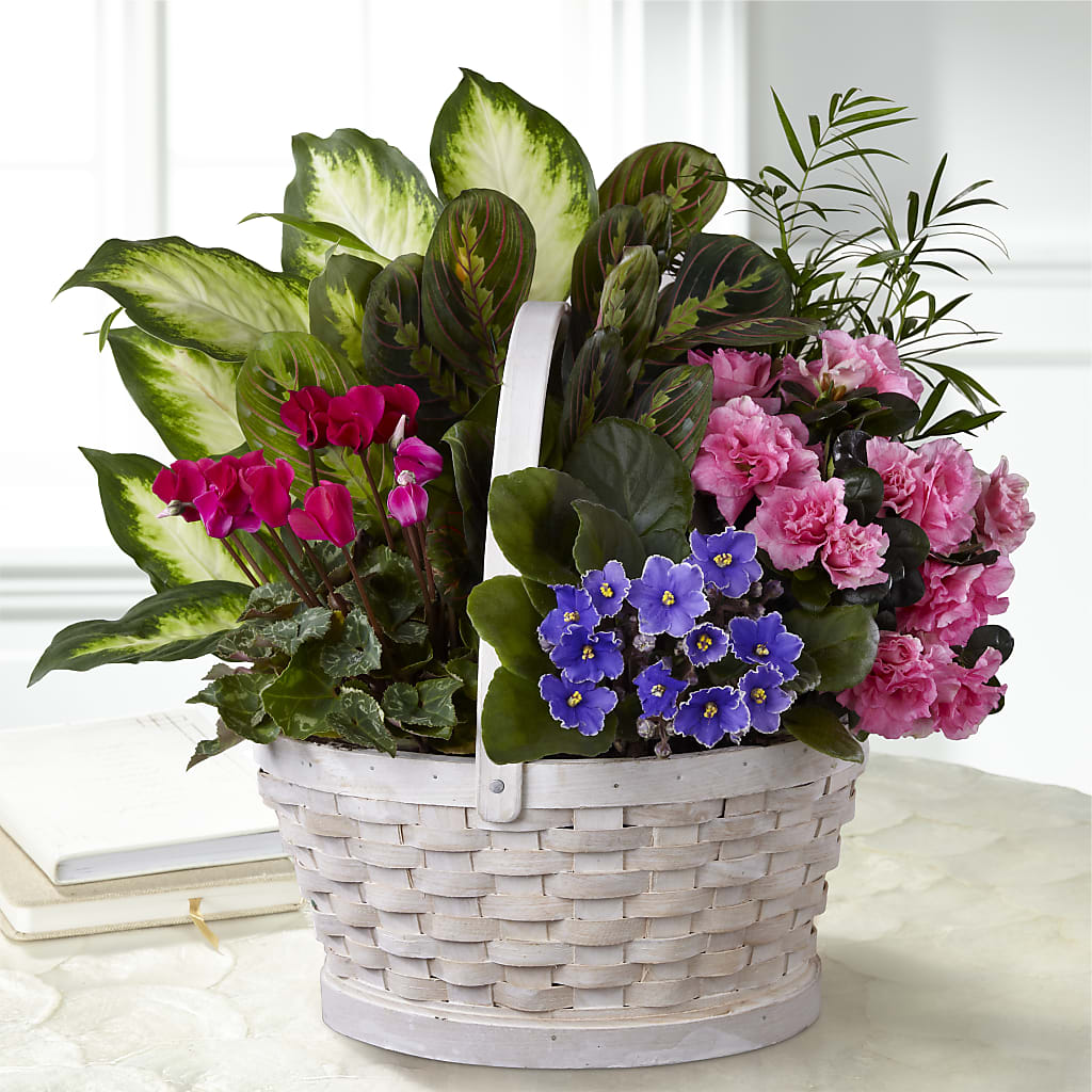 Peaceful Garden Planter – CHARLY'S FLOWERS, San Jose CA