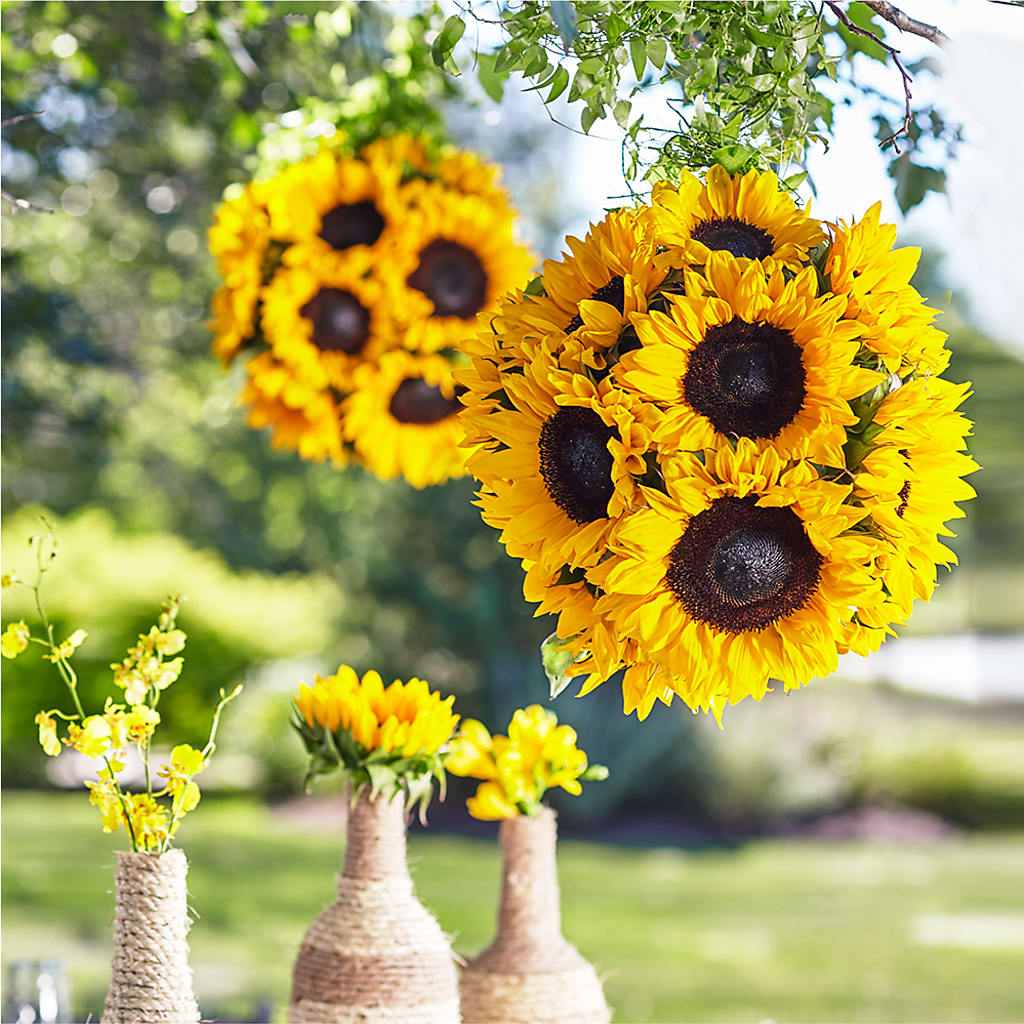 Sublime Garden Hanging Arrangement – CHARLY'S FLOWERS, San Jose CA