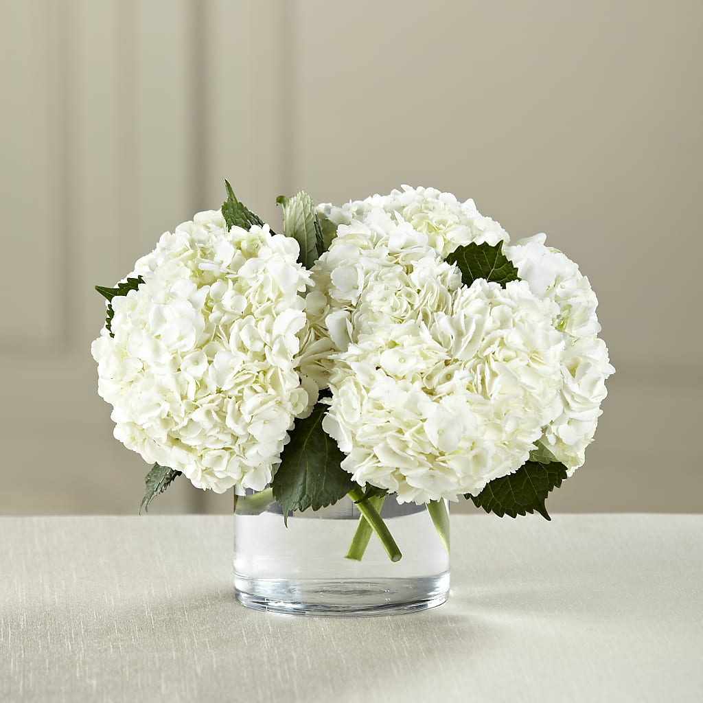 White Hydrangea Bouquet – CHARLY'S FLOWERS, San Jose CA