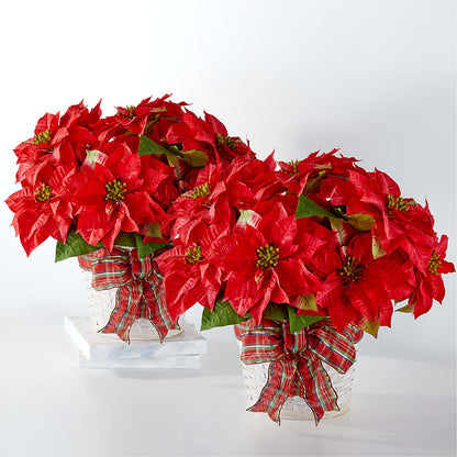 Happiest Holidays Poinsettia Bundle – CHARLY'S FLOWERS, San Jose CA