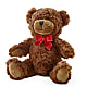 Adorable Plush Bear – CHARLY'S FLOWERS, San Jose CA