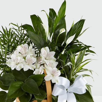 Peace & Serenity Dishgarden – CHARLY'S FLOWERS, San Jose CA