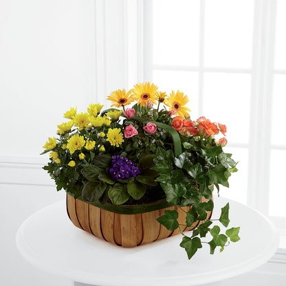 Gentle Blossoms Basket – CHARLY'S FLOWERS, San Jose CA
