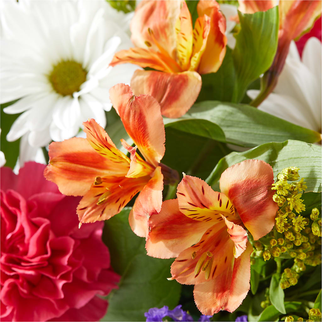 Oopsie Daisy Box Bouquet – CHARLY'S FLOWERS, San Jose CA