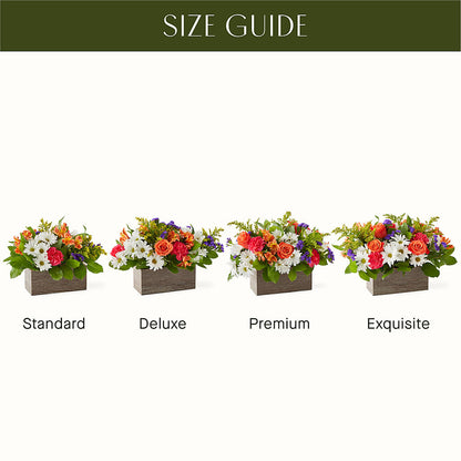 Oopsie Daisy Box Bouquet – CHARLY'S FLOWERS, San Jose CA