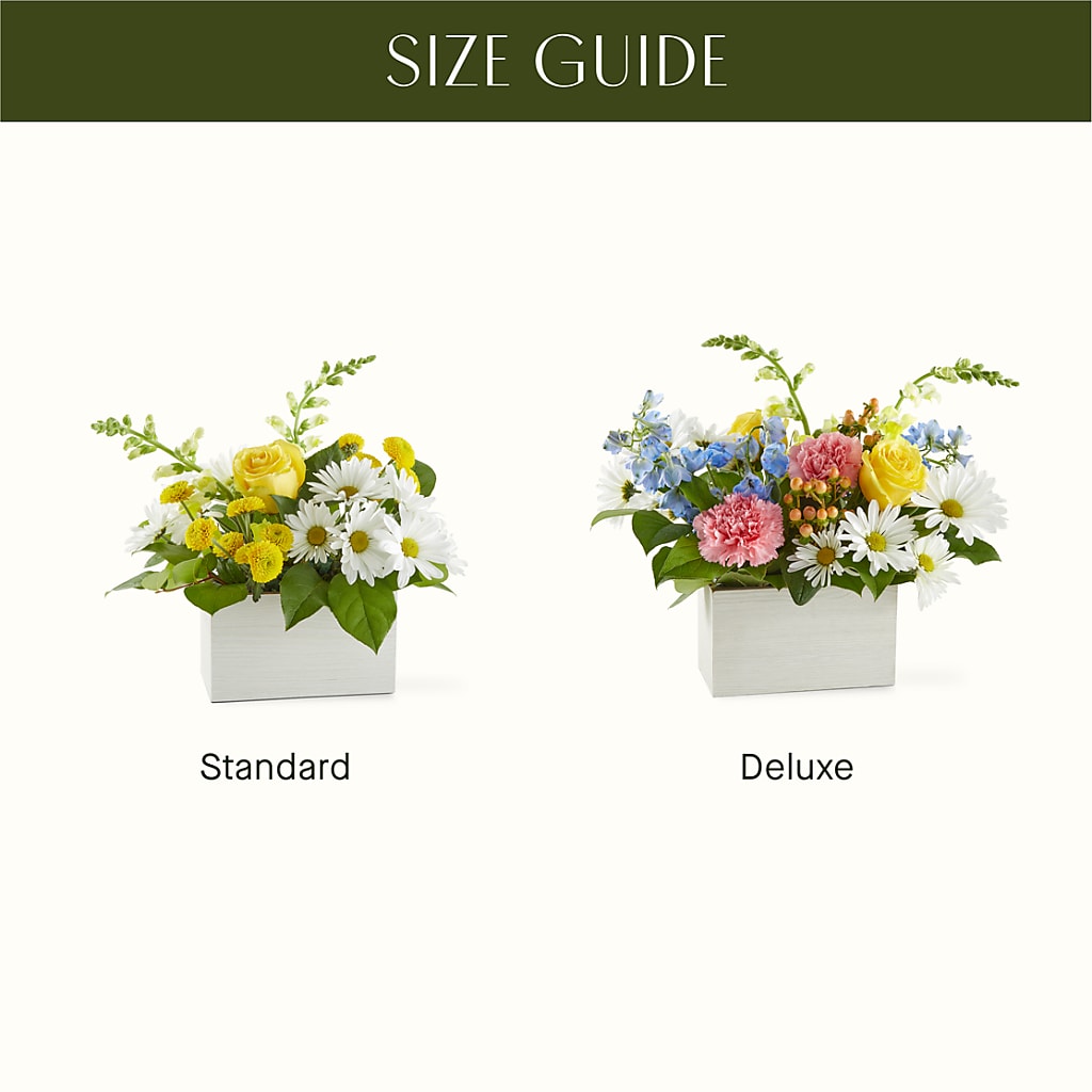 Sun Salutation Box Bouquet – CHARLY'S FLOWERS, San Jose CA