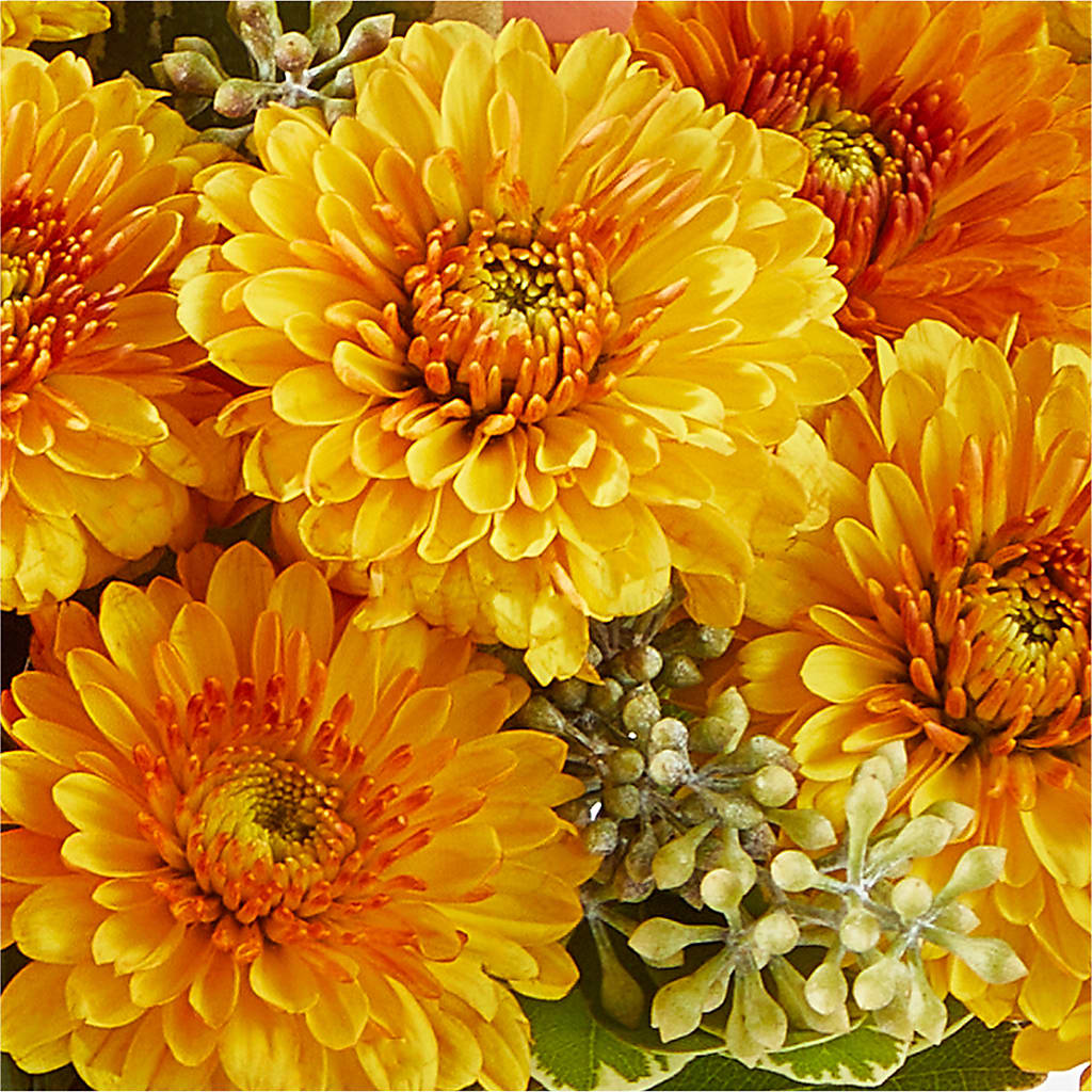 Peachy Pumpkin – CHARLY'S FLOWERS, San Jose CA