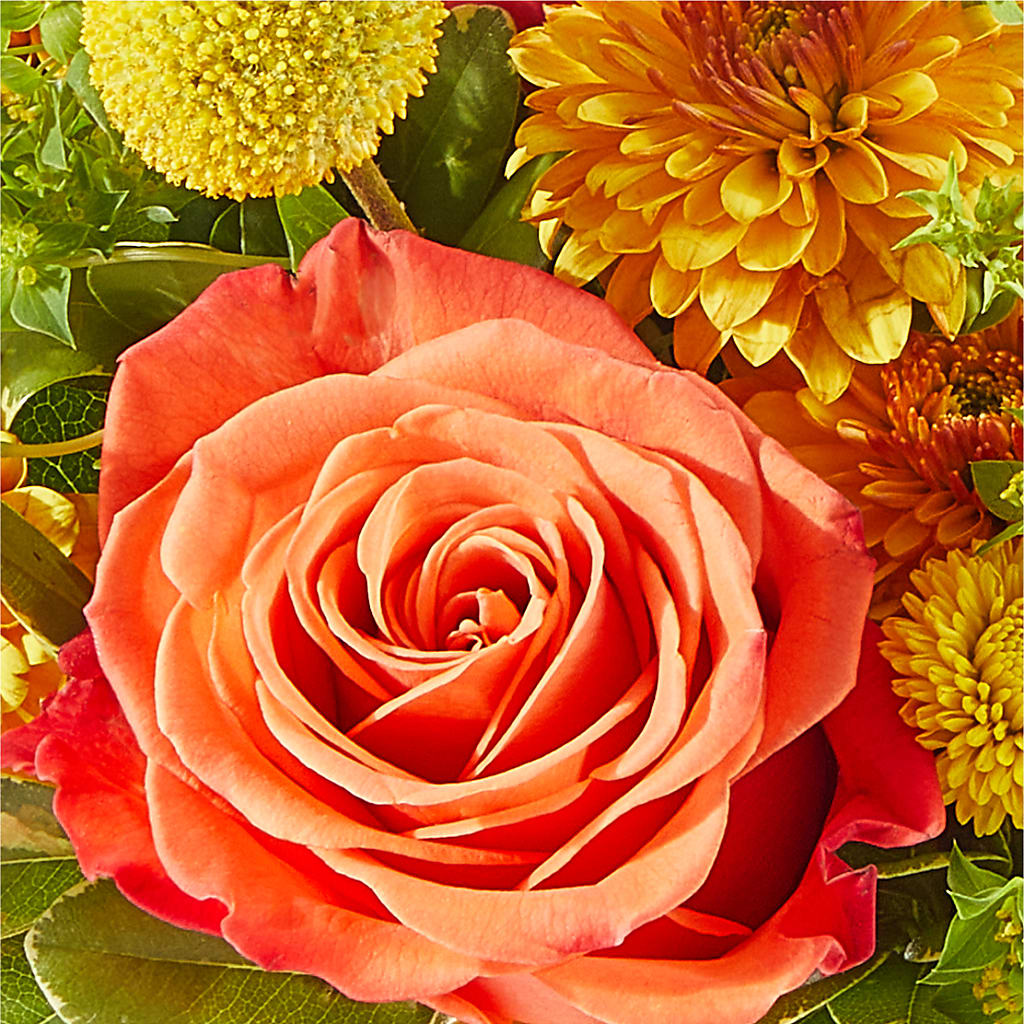 Gourdgeous Pumpkin – CHARLY'S FLOWERS, San Jose CA