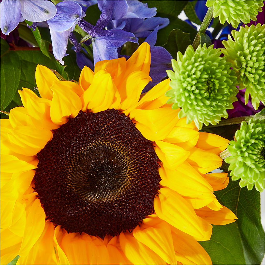 Catching Rays Bouquet – CHARLY'S FLOWERS, San Jose CA