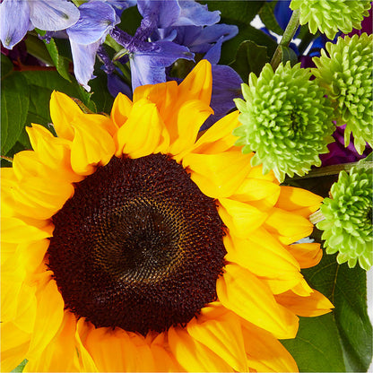 Catching Rays Bouquet – CHARLY'S FLOWERS, San Jose CA