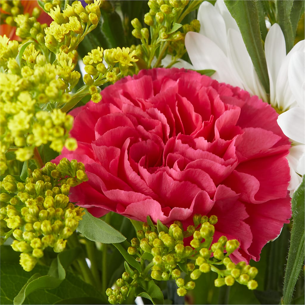 Oopsie Daisy Bouquet – CHARLY'S FLOWERS, San Jose CA