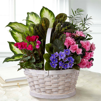 Peaceful Garden Planter – CHARLY'S FLOWERS, San Jose CA