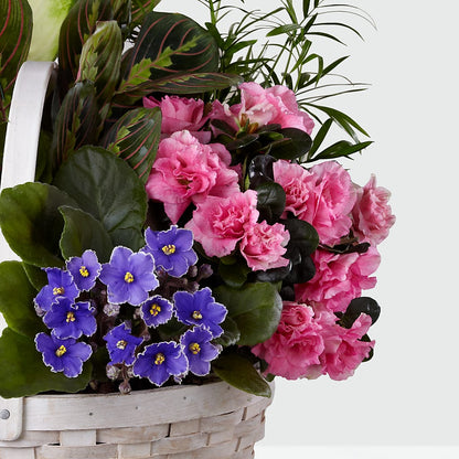 Peaceful Garden Planter – CHARLY'S FLOWERS, San Jose CA