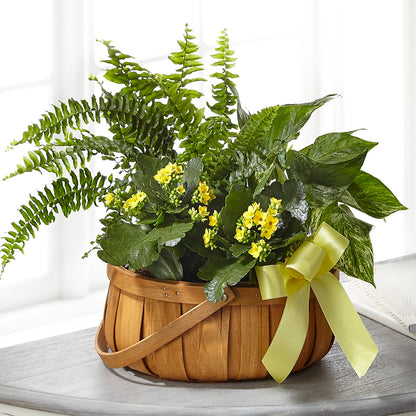 Always Dear Dishgarden – CHARLY'S FLOWERS, San Jose CA