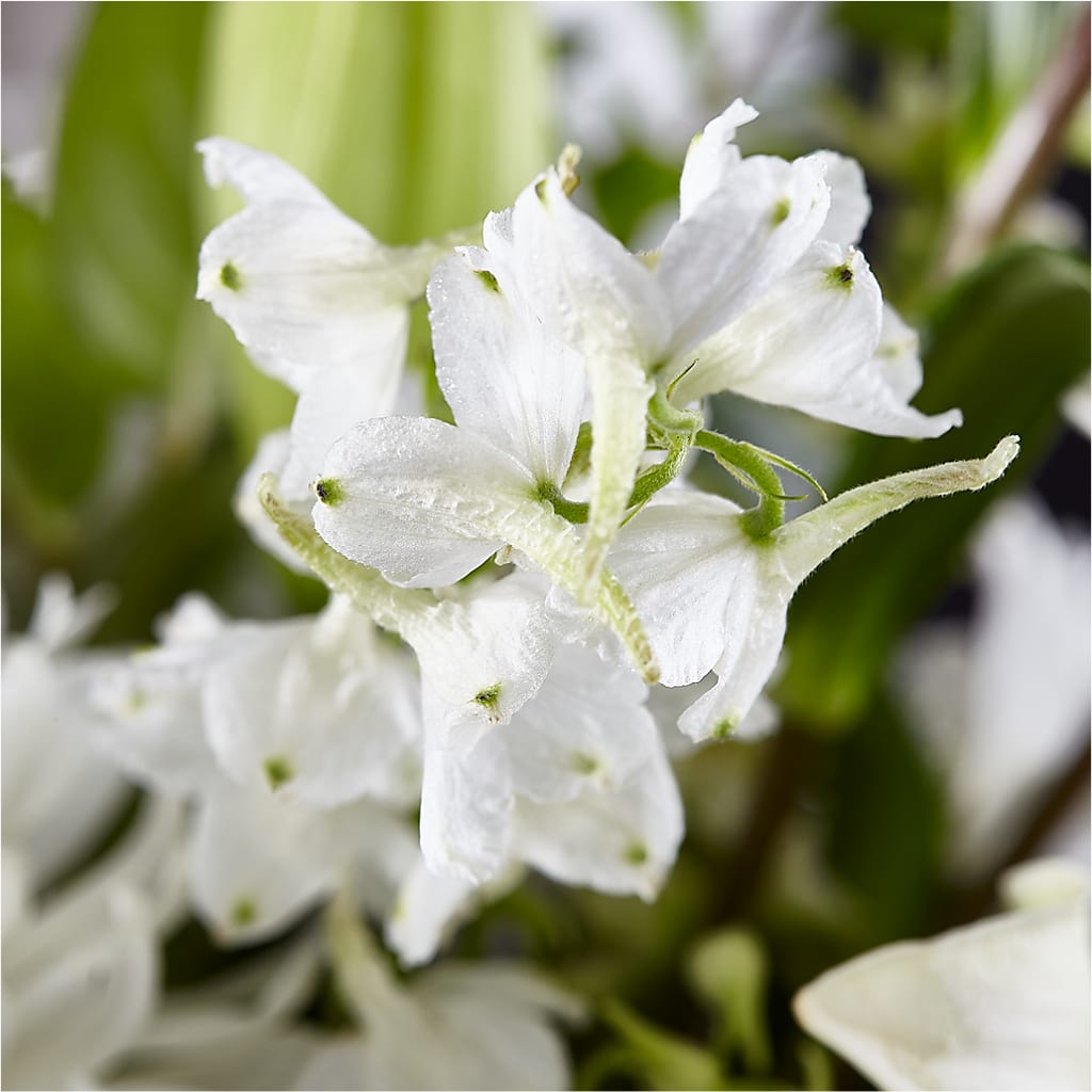Classic Ivory – A Florist Original – CHARLY'S FLOWERS, San Jose CA
