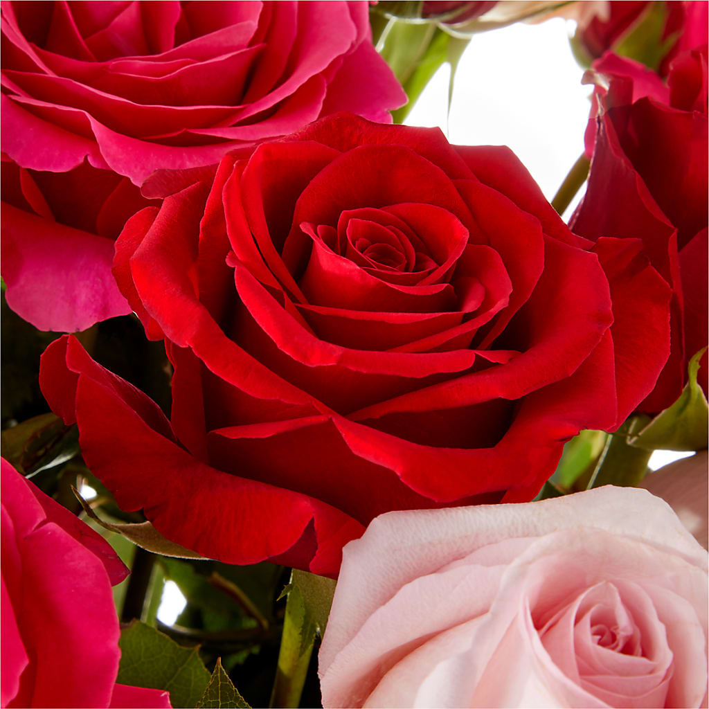 Love Notes Rose Bouquet – CHARLY'S FLOWERS, San Jose CA
