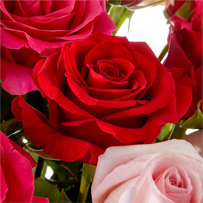 Love Notes Rose Bouquet – CHARLY'S FLOWERS, San Jose CA