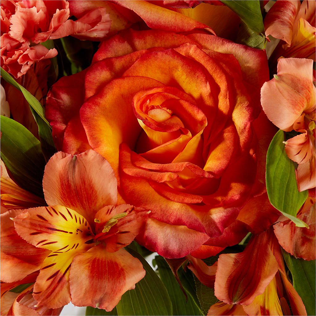 Apricot Glow Bouquet – CHARLY'S FLOWERS, San Jose CA