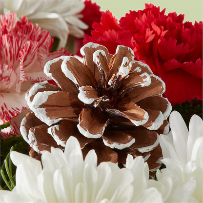 Candy Cane Lane Bouquet – CHARLY'S FLOWERS, San Jose CA