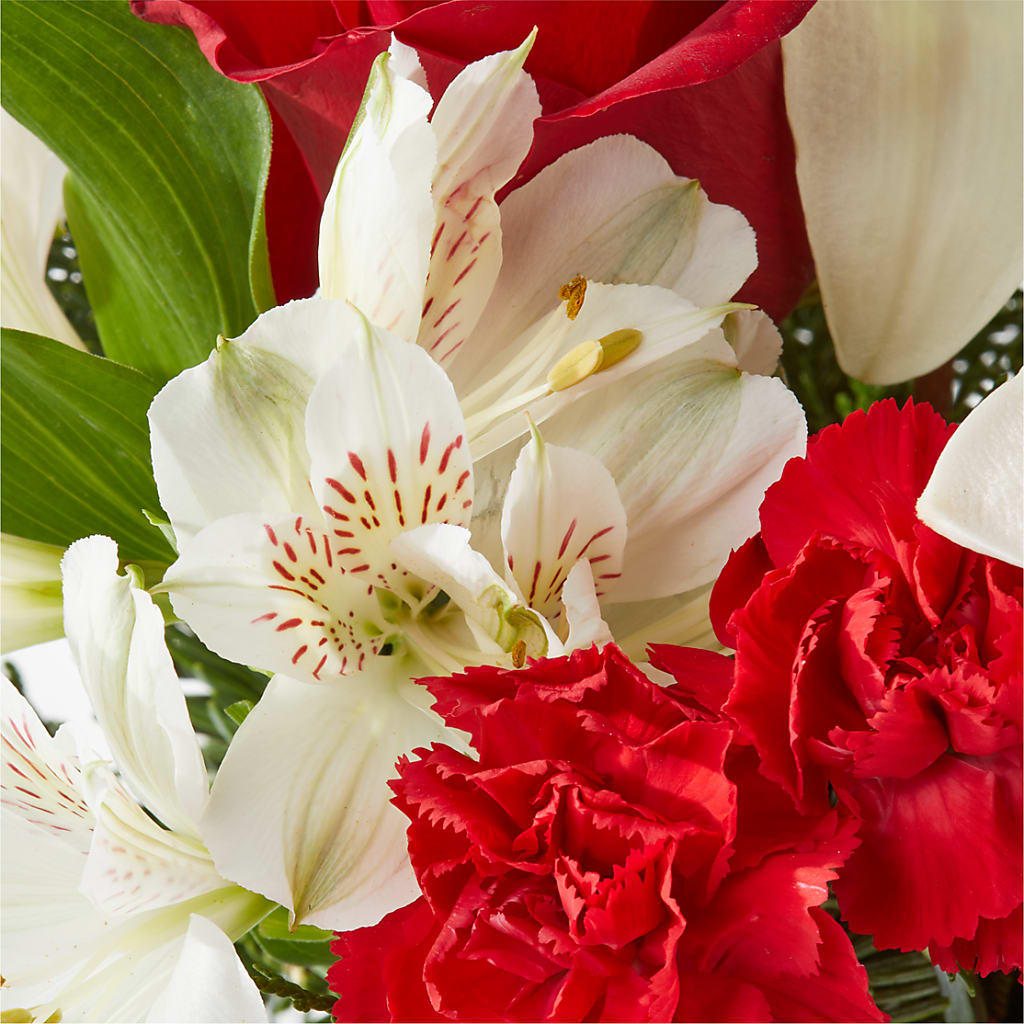 Holiday Season Bouquet – CHARLY'S FLOWERS, San Jose CA