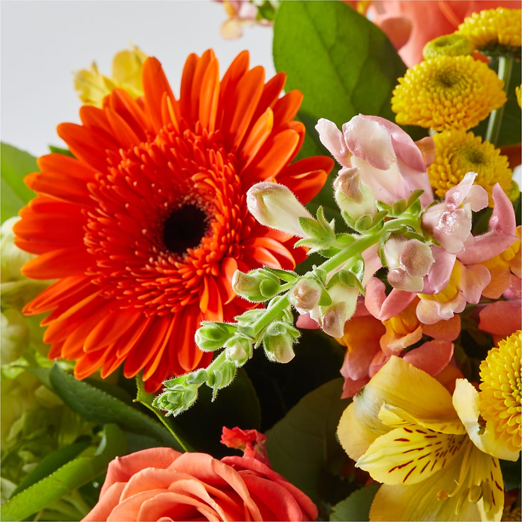 Autumn Sunshine Bouquet – CHARLY'S FLOWERS, San Jose CA