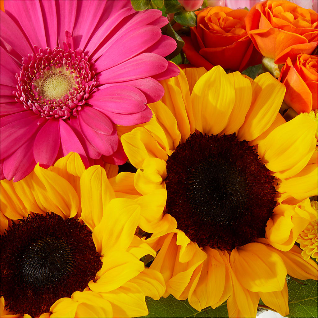Beach Day Bouquet – CHARLY'S FLOWERS, San Jose CA