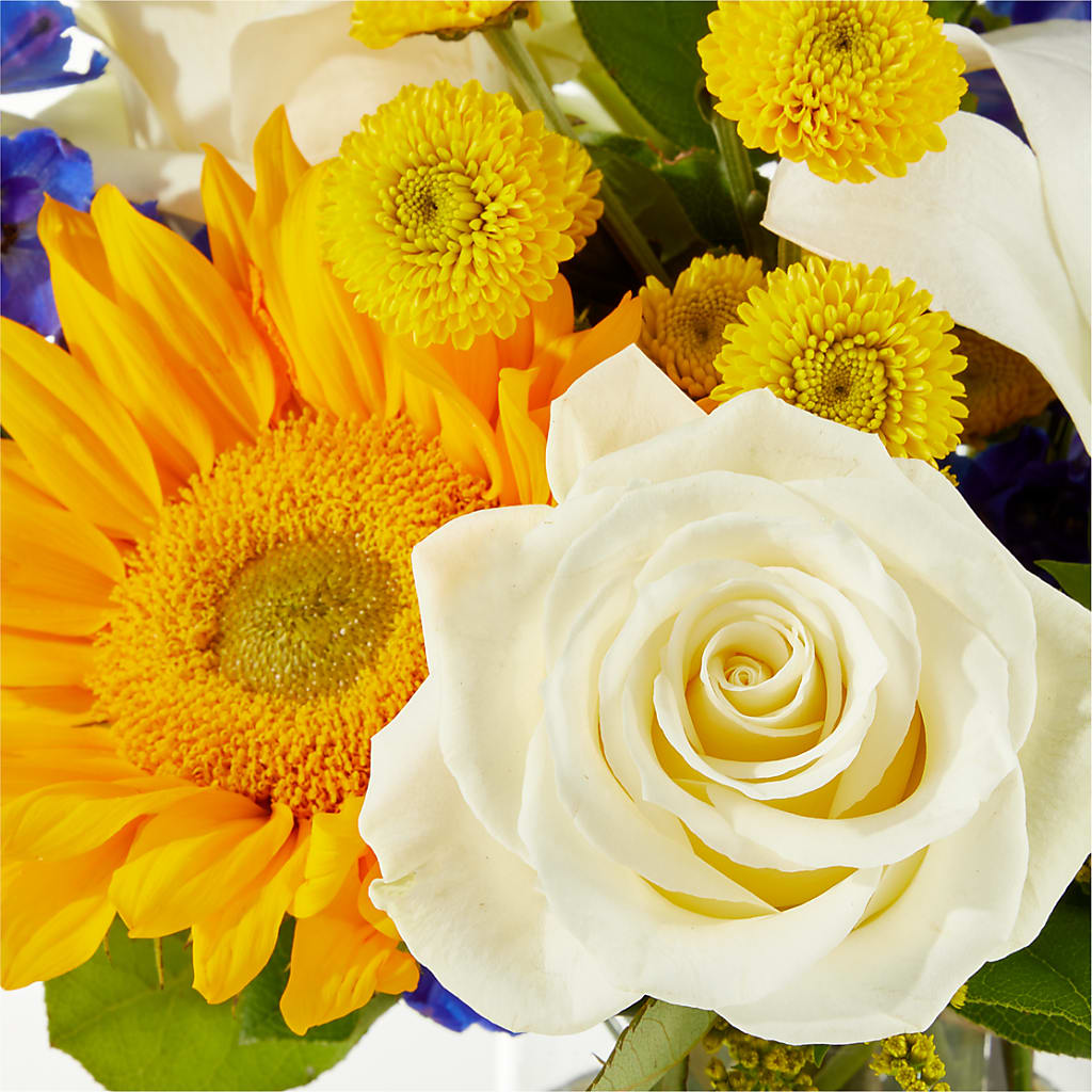 Stargazing Bouquet – CHARLY'S FLOWERS, San Jose CA