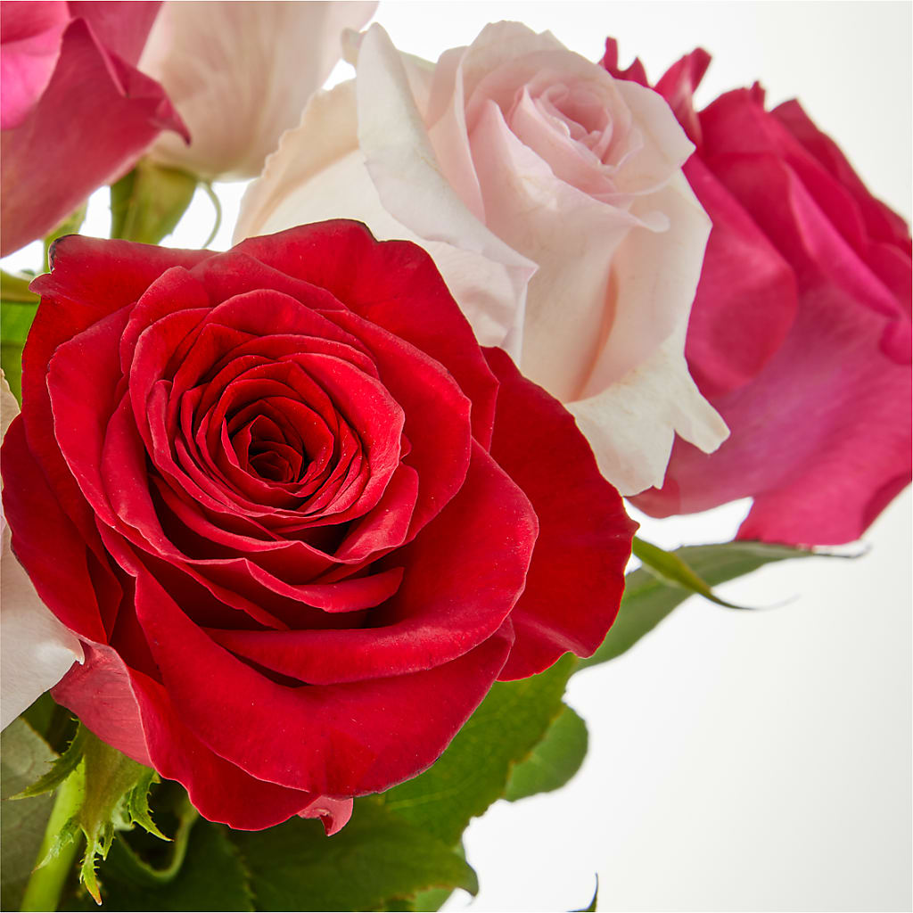 Charming Rose Bouquet – CHARLY'S FLOWERS, San Jose CA