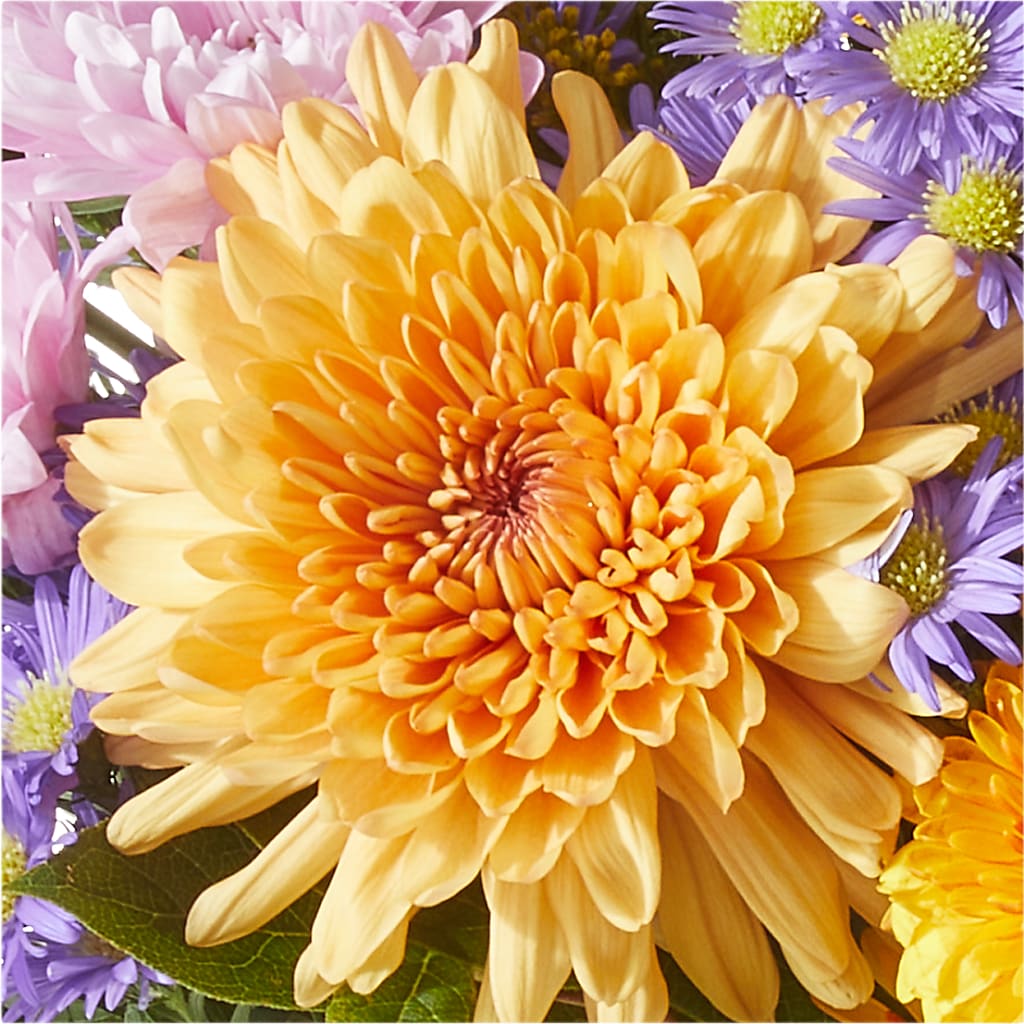 Countryside Bouquet – CHARLY'S FLOWERS, San Jose CA