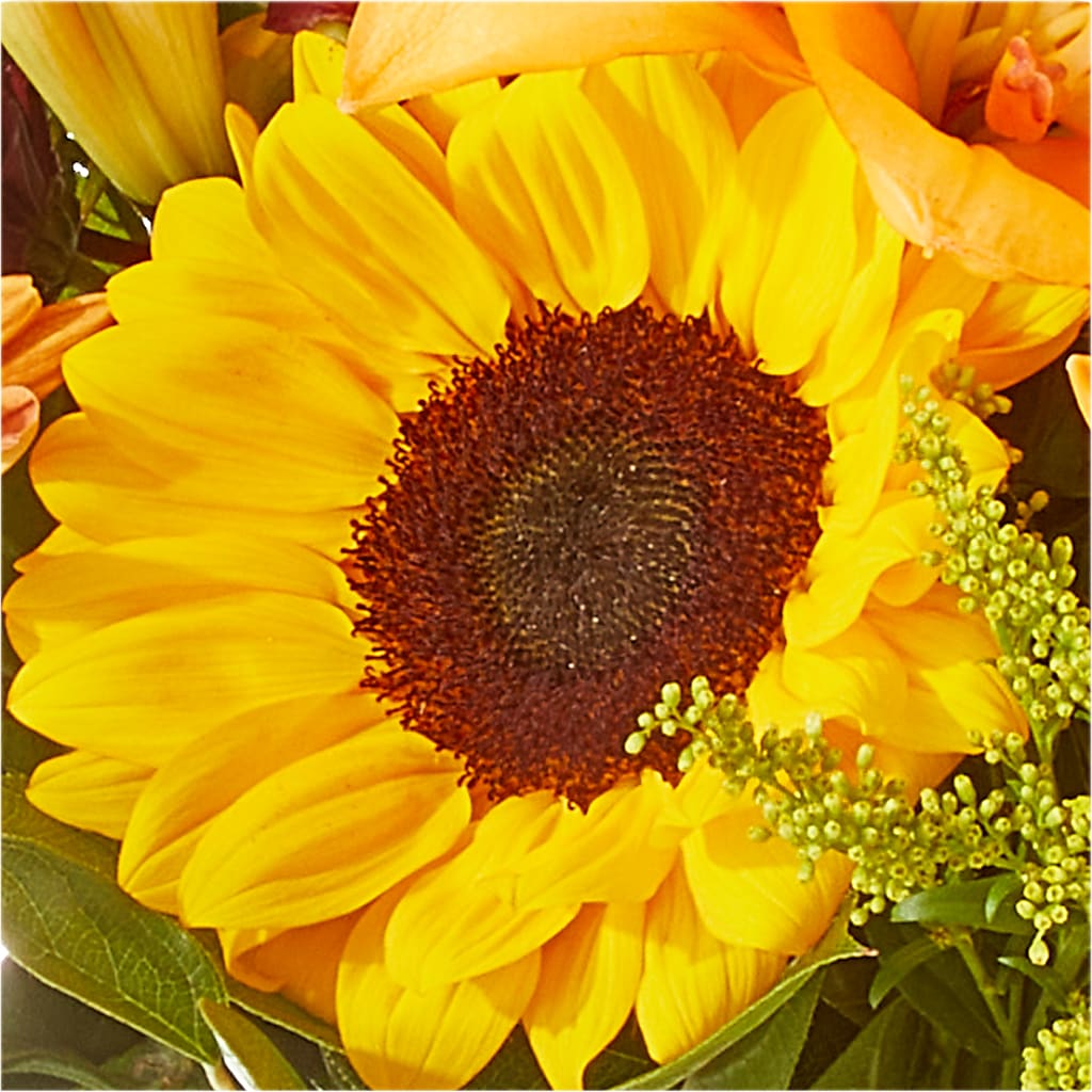Seasons Change Bouquet – CHARLY'S FLOWERS, San Jose CA