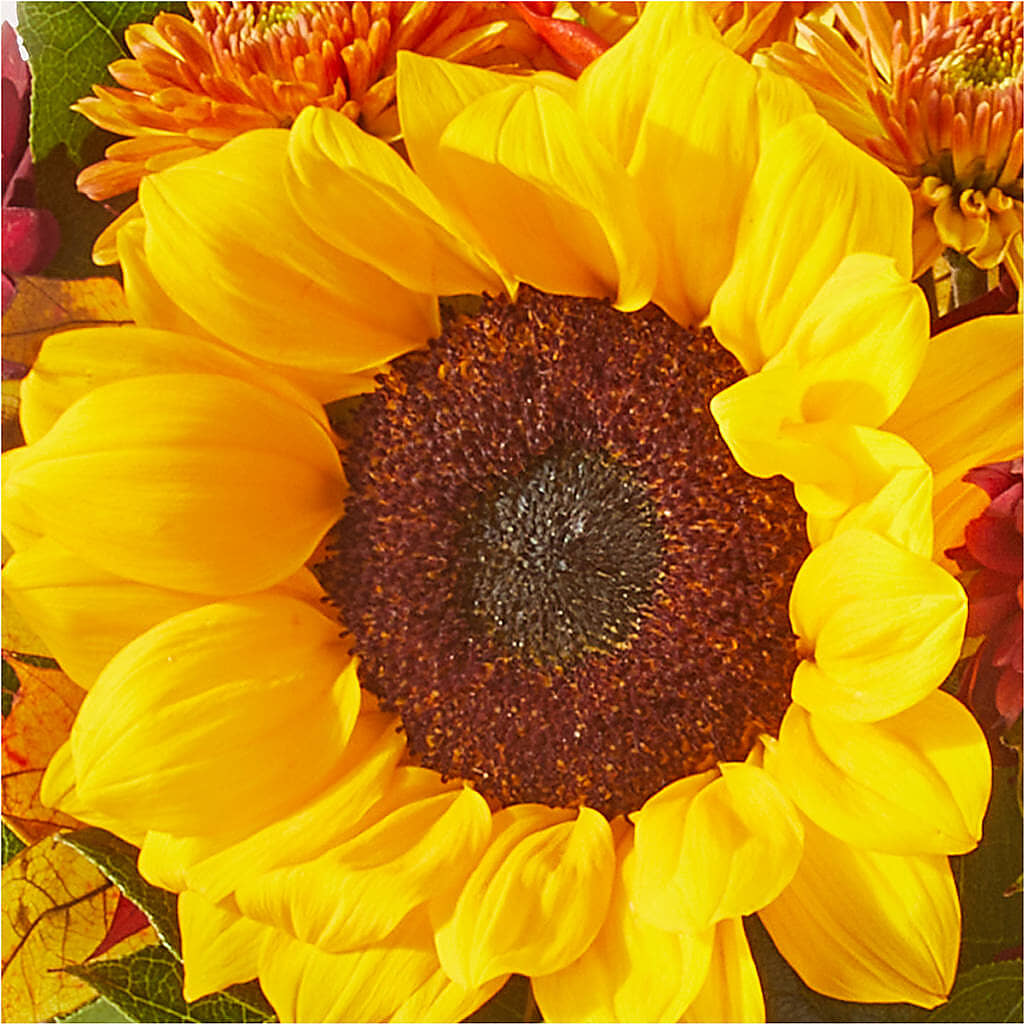 Sunny Side Bouquet – CHARLY'S FLOWERS, San Jose CA