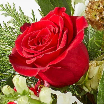 Deck the Halls Bouquet – CHARLY'S FLOWERS, San Jose CA
