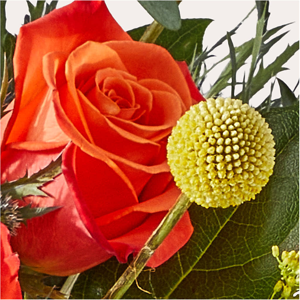 Disco Bouquet – CHARLY'S FLOWERS, San Jose CA