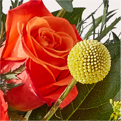 Disco Bouquet – CHARLY'S FLOWERS, San Jose CA
