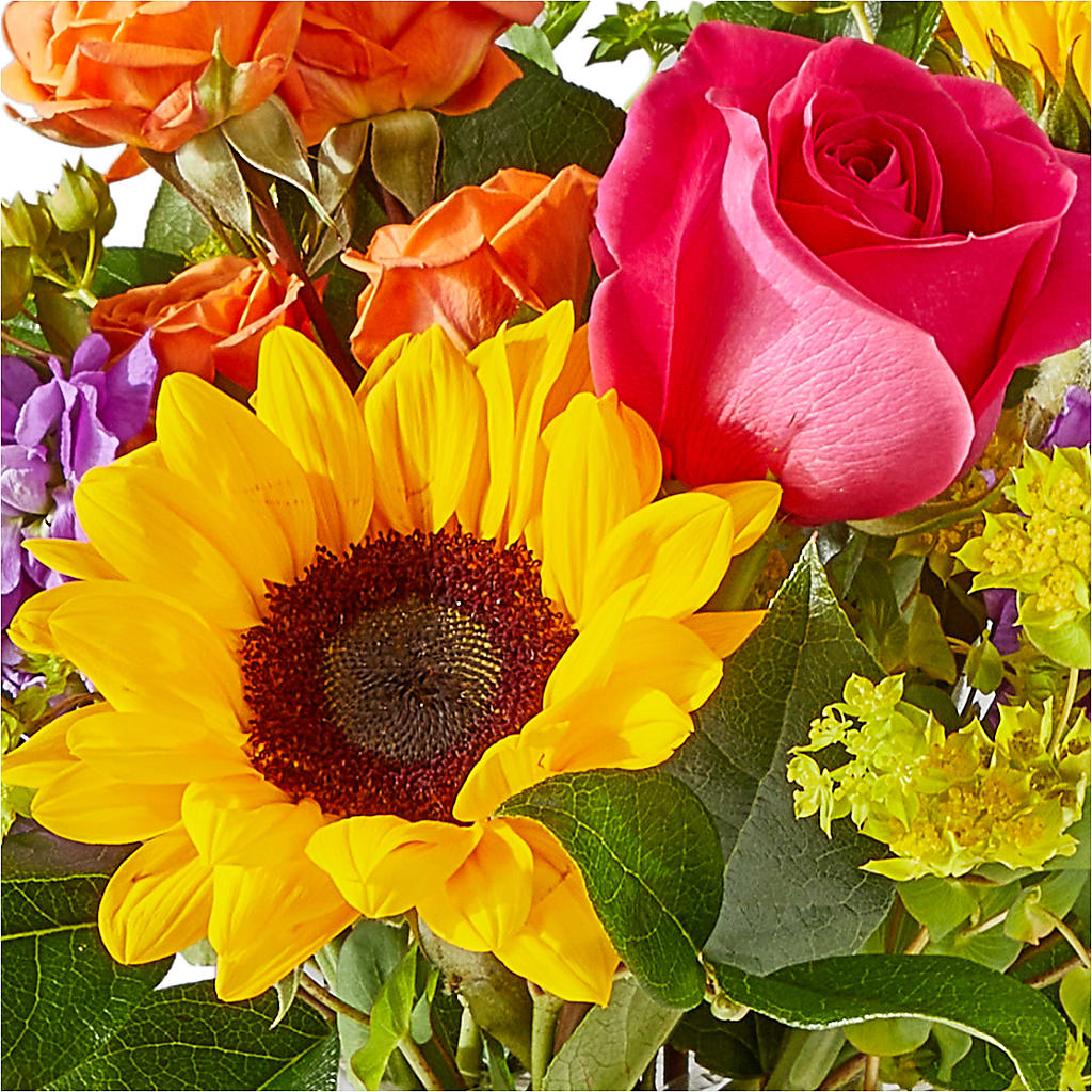 Vibrant Greetings Bouquet – CHARLY'S FLOWERS, San Jose CA