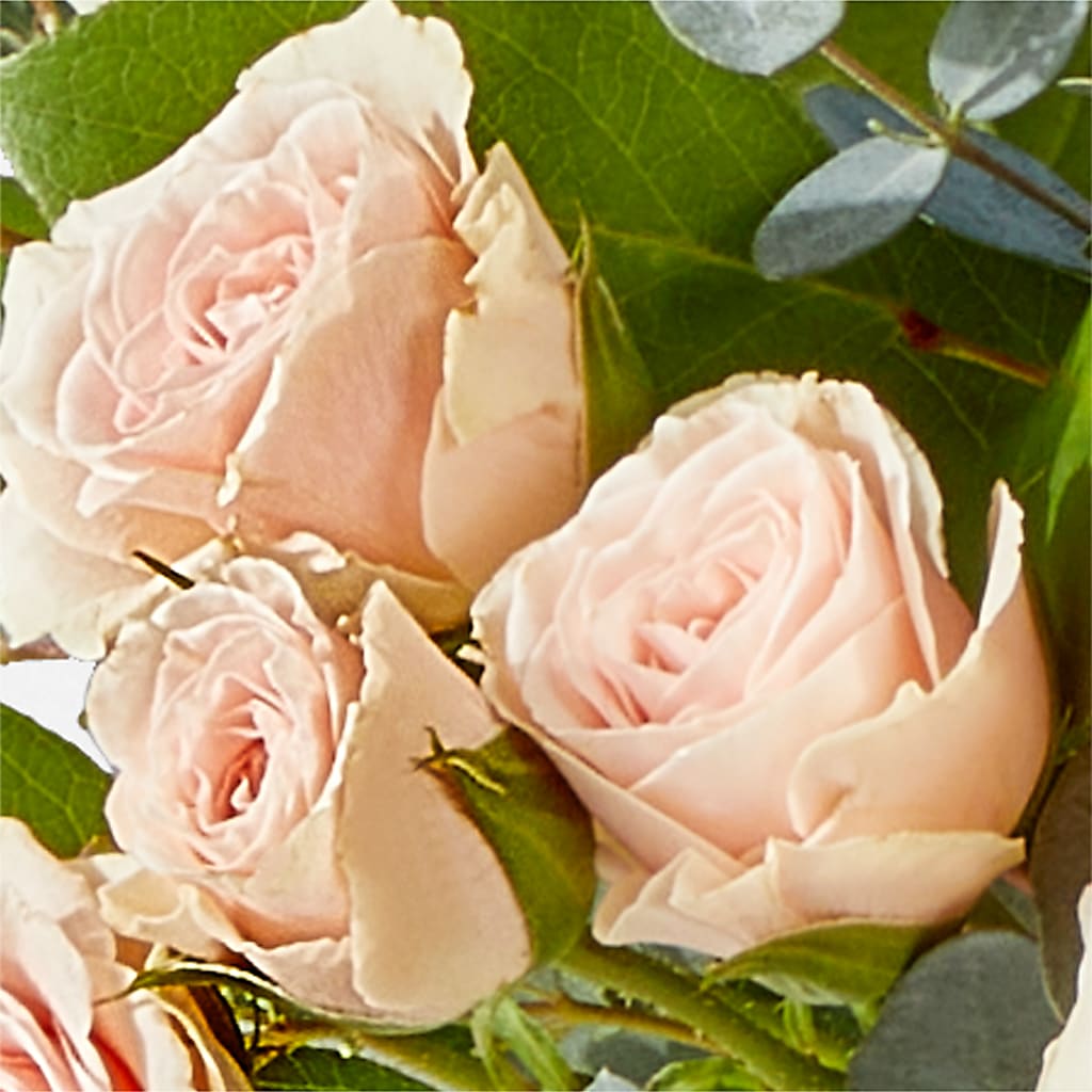 Inspired Bouquet – CHARLY'S FLOWERS, San Jose CA