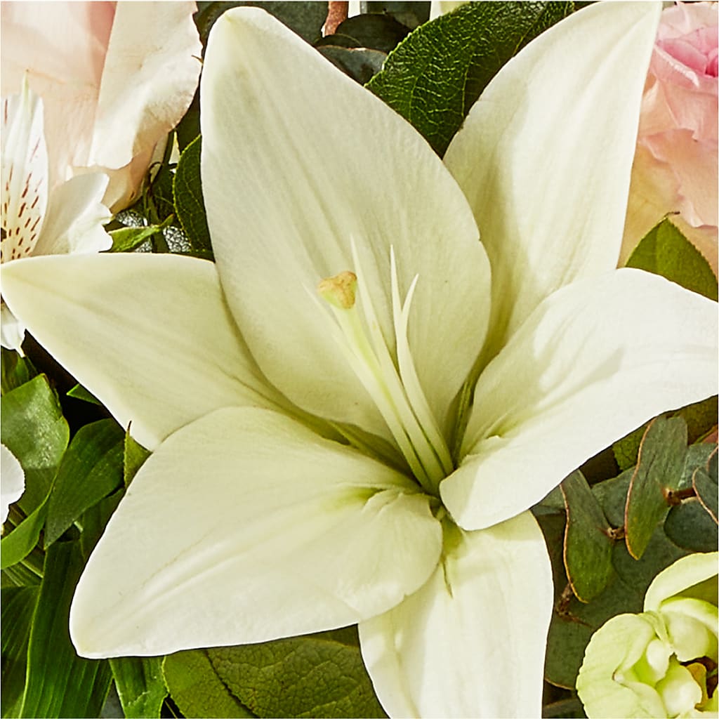 Ballet Slippers Bouquet – CHARLY'S FLOWERS, San Jose CA