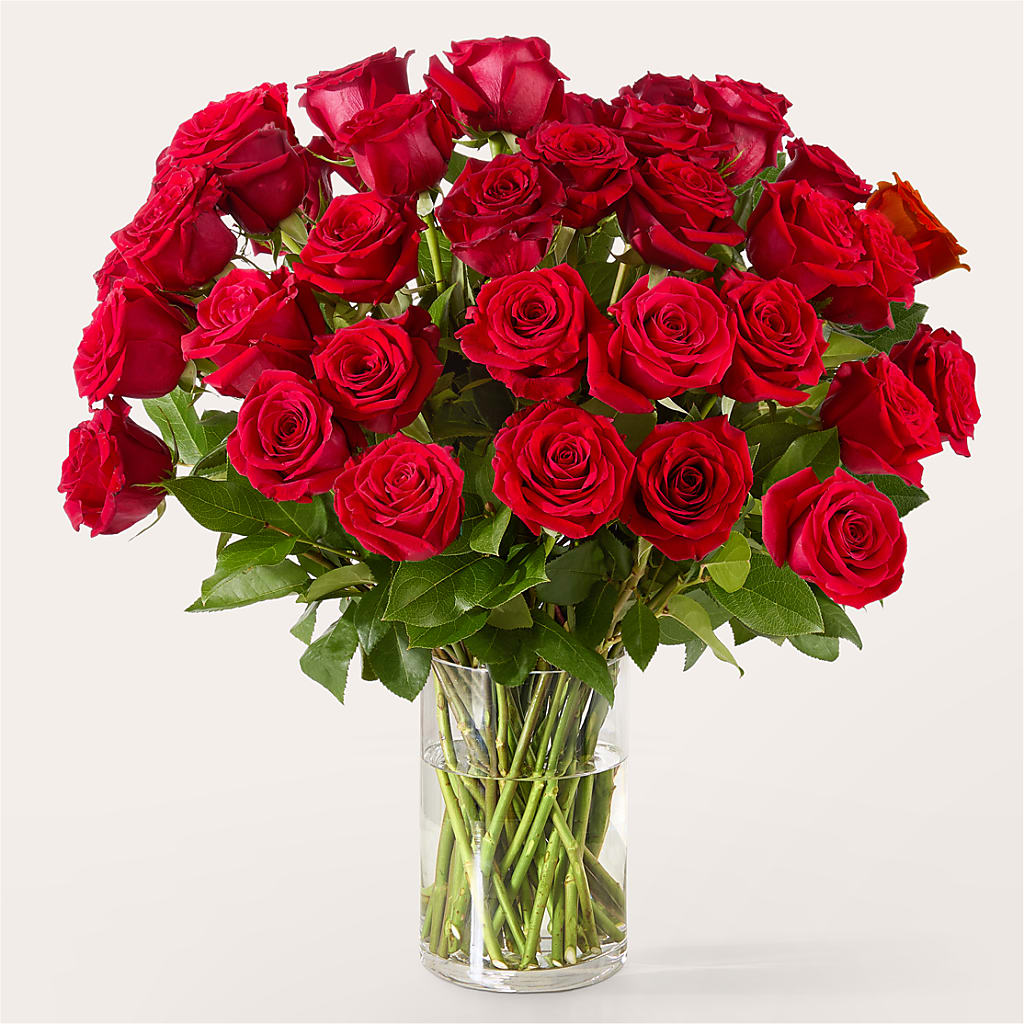 The One Red Rose Bouquet – CHARLY'S FLOWERS, San Jose CA