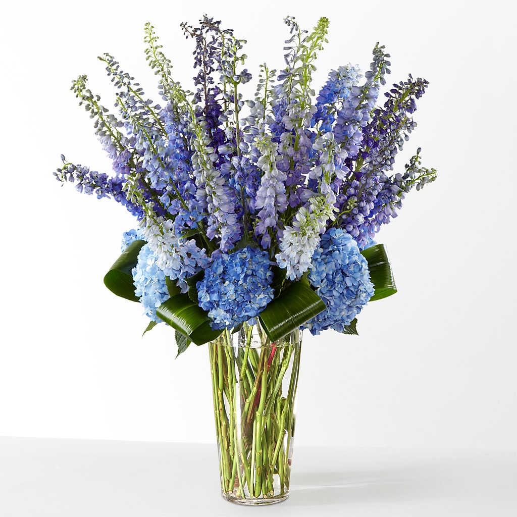 The Editorial – CHARLY'S FLOWERS, San Jose CA