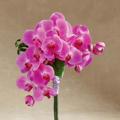 Glorious Bouquet – CHARLY'S FLOWERS, San Jose CA