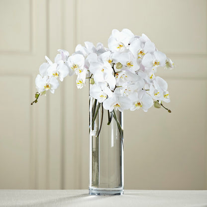 White Phalaenopsis Bouquet – CHARLY'S FLOWERS, San Jose CA