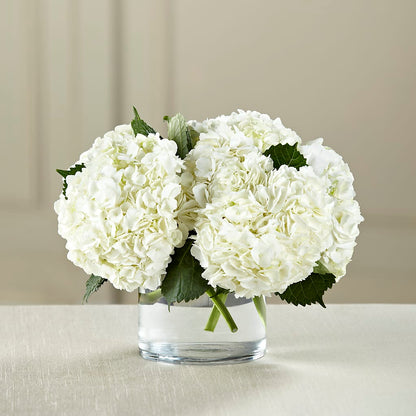White Hydrangea Bouquet – CHARLY'S FLOWERS, San Jose CA