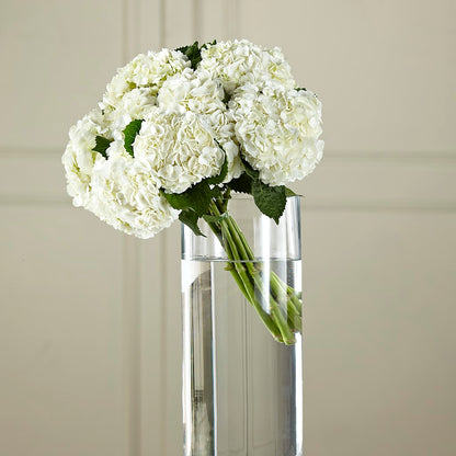 White Hydrangea Hand-Tied Bouquet – CHARLY'S FLOWERS, San Jose CA